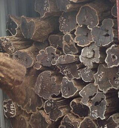 红木材质:东非黑黄檀是什么 东非黑黄檀百科大全 红木材质:东非黑黄檀是什么 东非黑黄檀百科大全